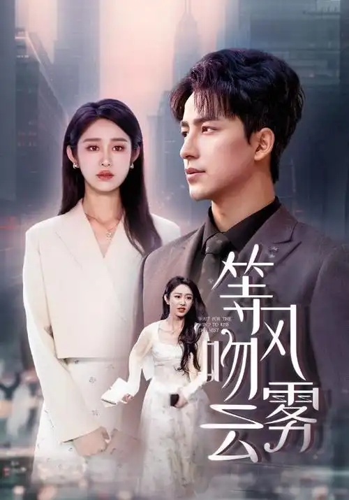 迷雾航线 热播电视剧全集手机免费在线观看